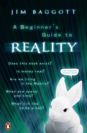 Cover of the book A Beginner's Guide to Reality by Jules Verne