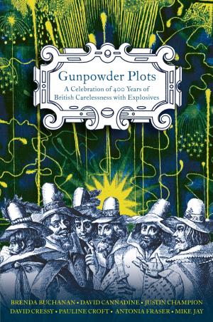 Cover of the book Gunpowder Plots by Jason Bradbury