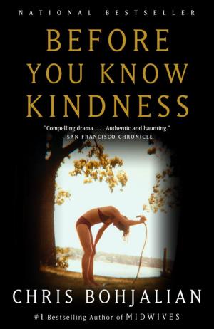 Cover of the book Before You Know Kindness by Jack Gilbert