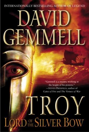 Cover of the book Troy: Lord of the Silver Bow by Carl Purcell