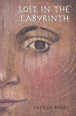 Cover of the book Lost in the Labyrinth by Phillip E. Pack