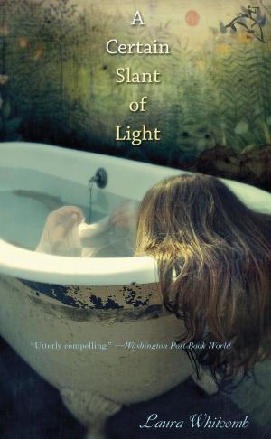 Cover of the book A Certain Slant of Light by Angela Woodward Spangenberg