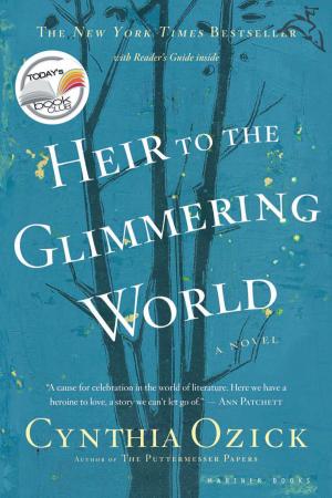 Cover of the book Heir to the Glimmering World by Howard Frank Mosher
