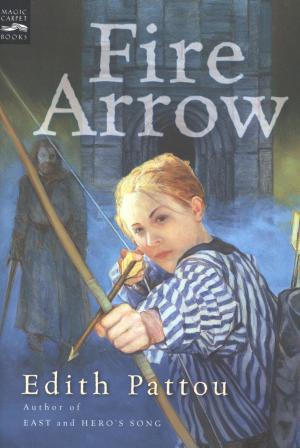 Cover of the book Fire Arrow by Annemarie van Haeringen