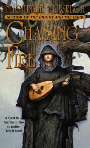 Cover of the book Chasing Fire by Matthew Stover