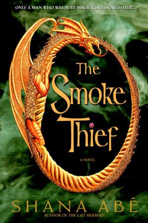 Cover of the book The Smoke Thief by Melanie Fletcher