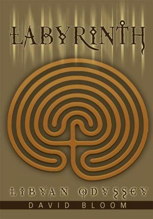 Cover of the book Labyrinth by Edie Harris
