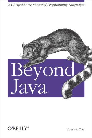Cover of the book Beyond Java by Clinton Gormley, Zachary Tong