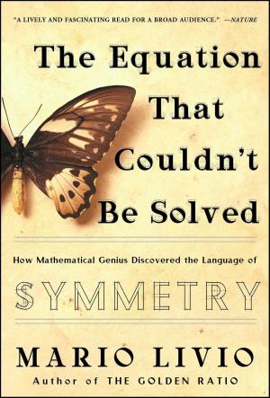 Book cover of The Equation that Couldn't Be Solved
