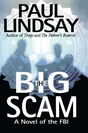 Cover of the book The Big Scam by Wendy H. Jones