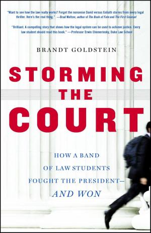 Cover of the book Storming the Court by Matt Racine