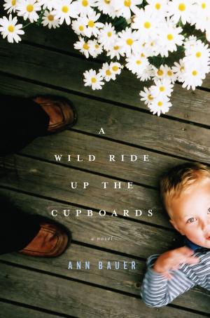 bigCover of the book A Wild Ride Up the Cupboards by 