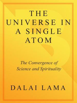 Cover of the book The Universe in a Single Atom by Cassius Cheong