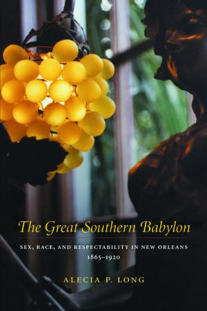 Cover of the book The Great Southern Babylon by Waldo W. Braden