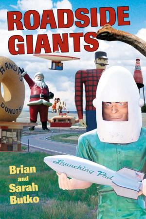 Cover of the book Roadside Giants by Florian Berger