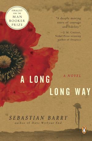 Cover of the book A Long Long Way by Susan Wittig Albert