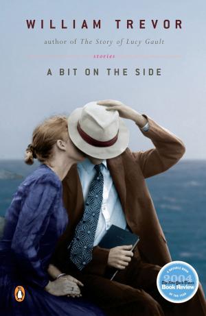Cover of the book A Bit on the Side by Lisa A. Shiel
