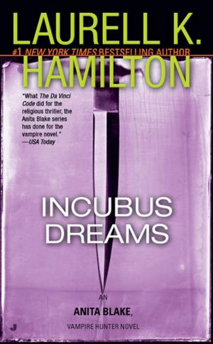 Cover of the book Incubus Dreams by A. Scott Berg