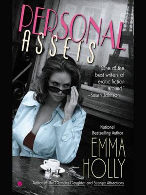 Cover of the book Personal Assets by Donna Klein