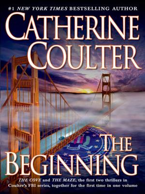 Cover of the book The Beginning by Catherine Goldhammer