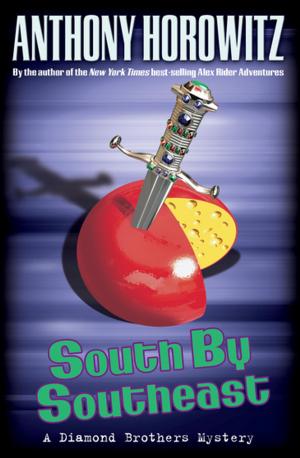 Cover of the book South By Southeast by Mike Lupica