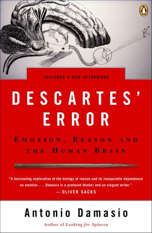 Book cover of Descartes' Error