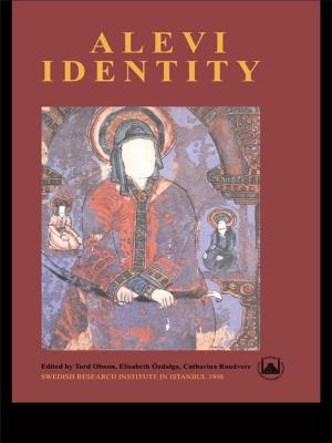 Book cover of Alevi Identity