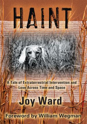 Cover of the book Haint by Jo Paroz
