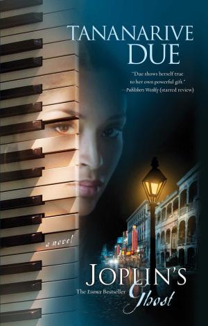 Cover of the book Joplin's Ghost by Renée Stephens, Samantha Rose