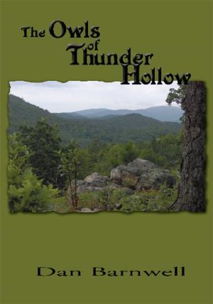 Book cover of The Owls of Thunder Hollow
