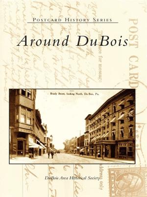Cover of the book Around DuBois by Jayne Book Salomon