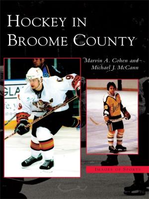 Book cover of Hockey in Broome County