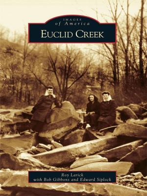Cover of the book Euclid Creek by Deborah S. Rossman, Westlake Porter Public Library