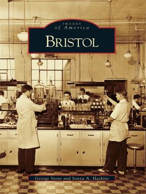 Cover of the book Bristol by Jacob Kaplan, Rob Reid, Elisa Addlesperger, Dan Pogorzelski