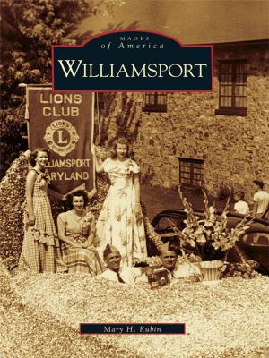 Cover of the book Williamsport by Stephanie Burt Williams
