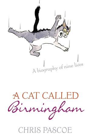 Cover of the book A Cat Called Birmingham by Patricia Robins
