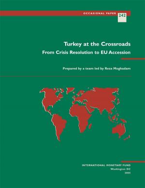 Cover of the book Turkey at the Crossroads: From Crisis Resolution to EU Accession by International Monetary Fund. Statistics Dept.