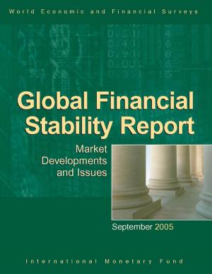 Cover of the book Global Financial Stability Report, September 2005 by Nathaniel G Arnold, Bergljot B Barkbu, H. Elif Ture, Hou Wang, Jiaxiong Yao