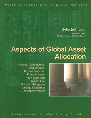 Cover of the book Aspects of Global Asset Allocation by Tamim Mr. Bayoumi, Guy Mr. Meredith, Bijan Aghevli