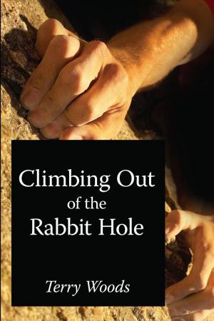 Cover of the book Climbing out of the Rabbit Hole by John P. Roach Jr.