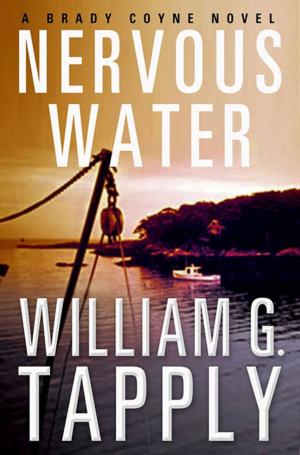 Cover of the book Nervous Water by Natasha Cooper