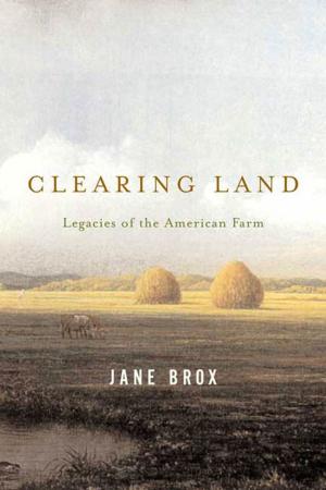 Book cover of Clearing Land