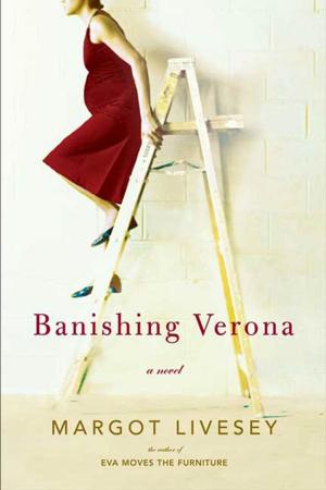 Book cover of Banishing Verona