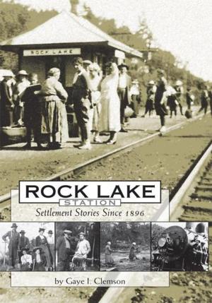 Cover of the book Rock Lake Station by Brenda J. Regan