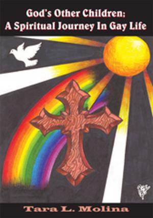Cover of the book God's Other Children; a Spiritual Journey in Gay Life by Autumn Lake