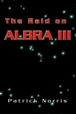 Cover of the book The Raid on Albra Iii by Ralph Meewes