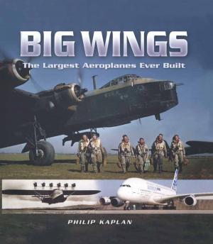 bigCover of the book Big Wings by 