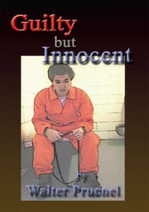 Cover of the book Guilty but Innocent by Wayne Lundquist