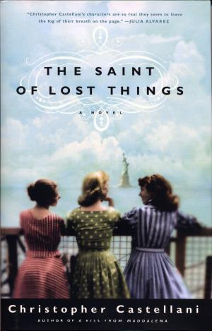 bigCover of the book The Saint of Lost Things by 