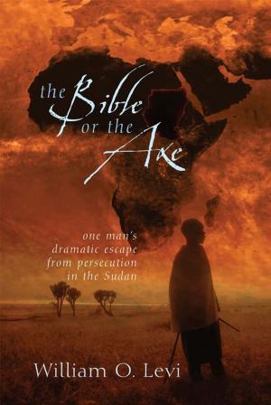 Cover of the book The Bible or the Axe by Patricia St. John